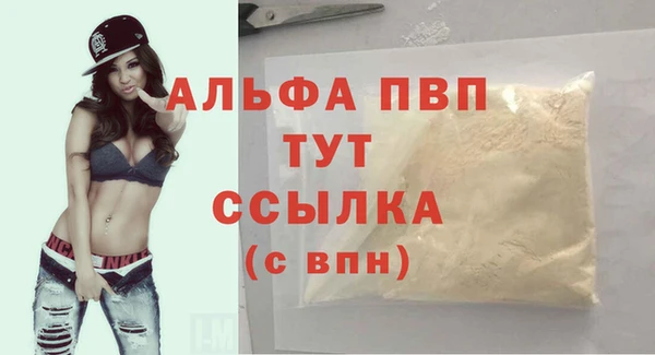 2c-b Новозыбков